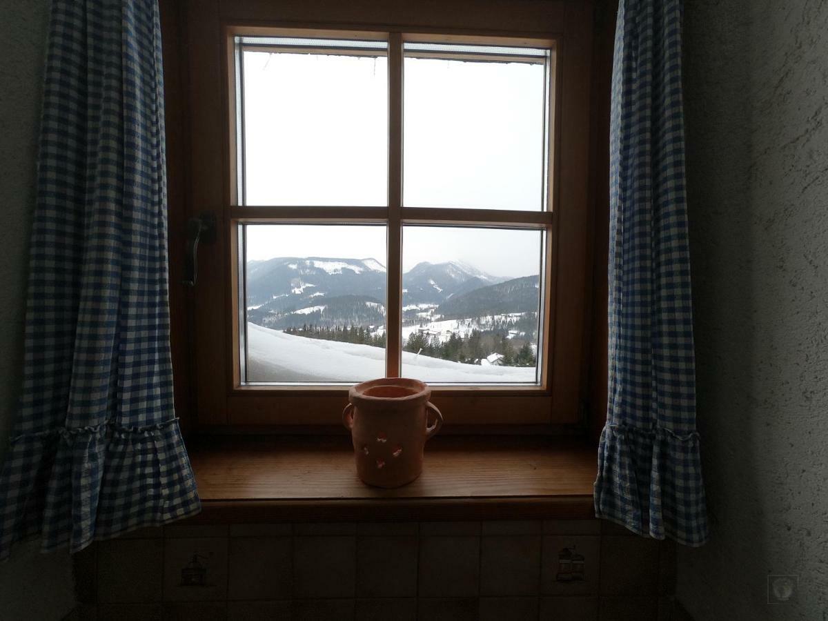 Alpenhaus Ganser-dixit *