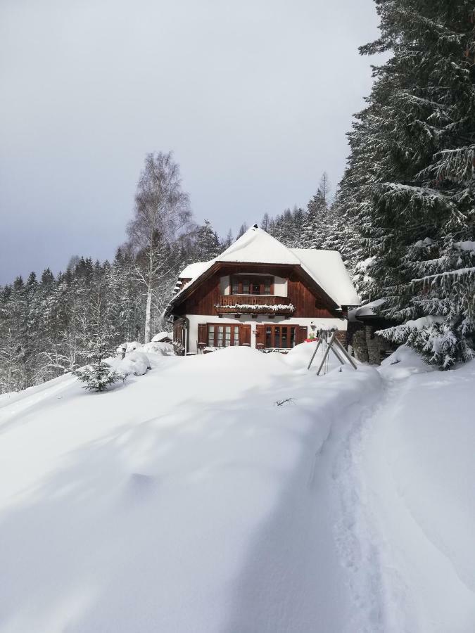 Alpenhaus Ganser-dixit * Mariazell