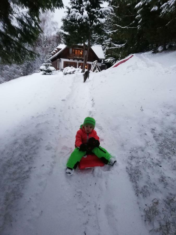 Alpenhaus Ganser-dixit * Mariazell