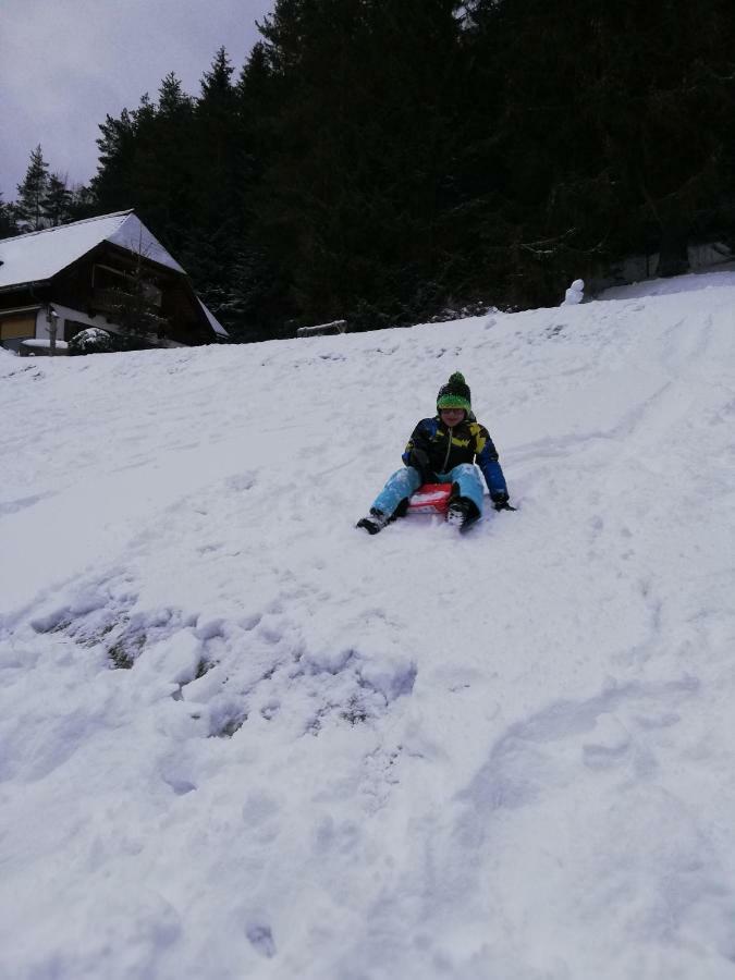Alpenhaus Ganser-dixit Mariazell