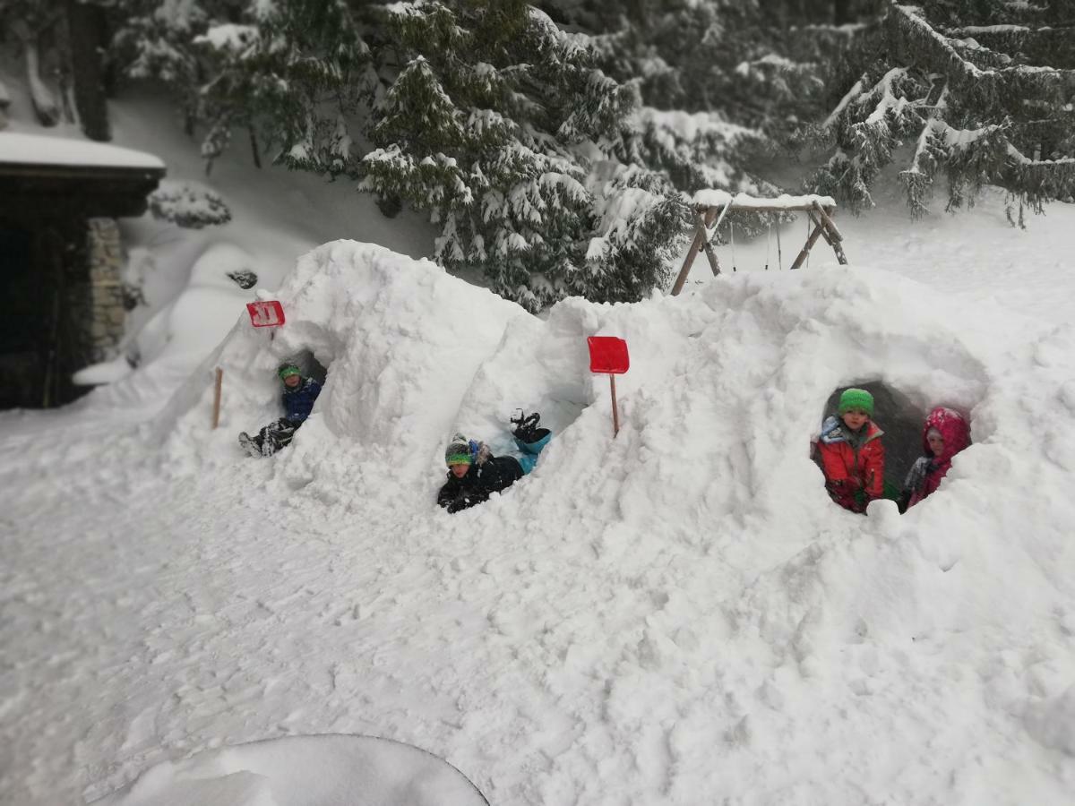Alpenhaus Ganser-dixit